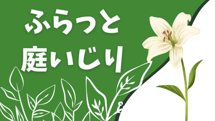 ふらっと庭いじり